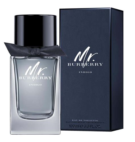 monogramming mr burberry indigo eau de toilette|Burberry perfume for men • Compare best prices now.